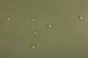 3204990TH-7.jpg
