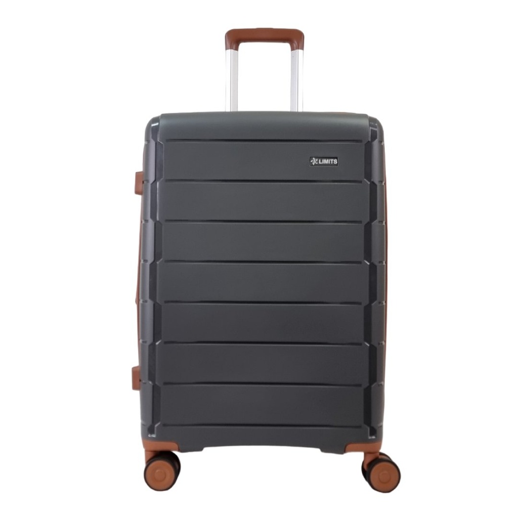 D-LUX Gray 26" PP/8W/TSA/Z-S/Exp.
